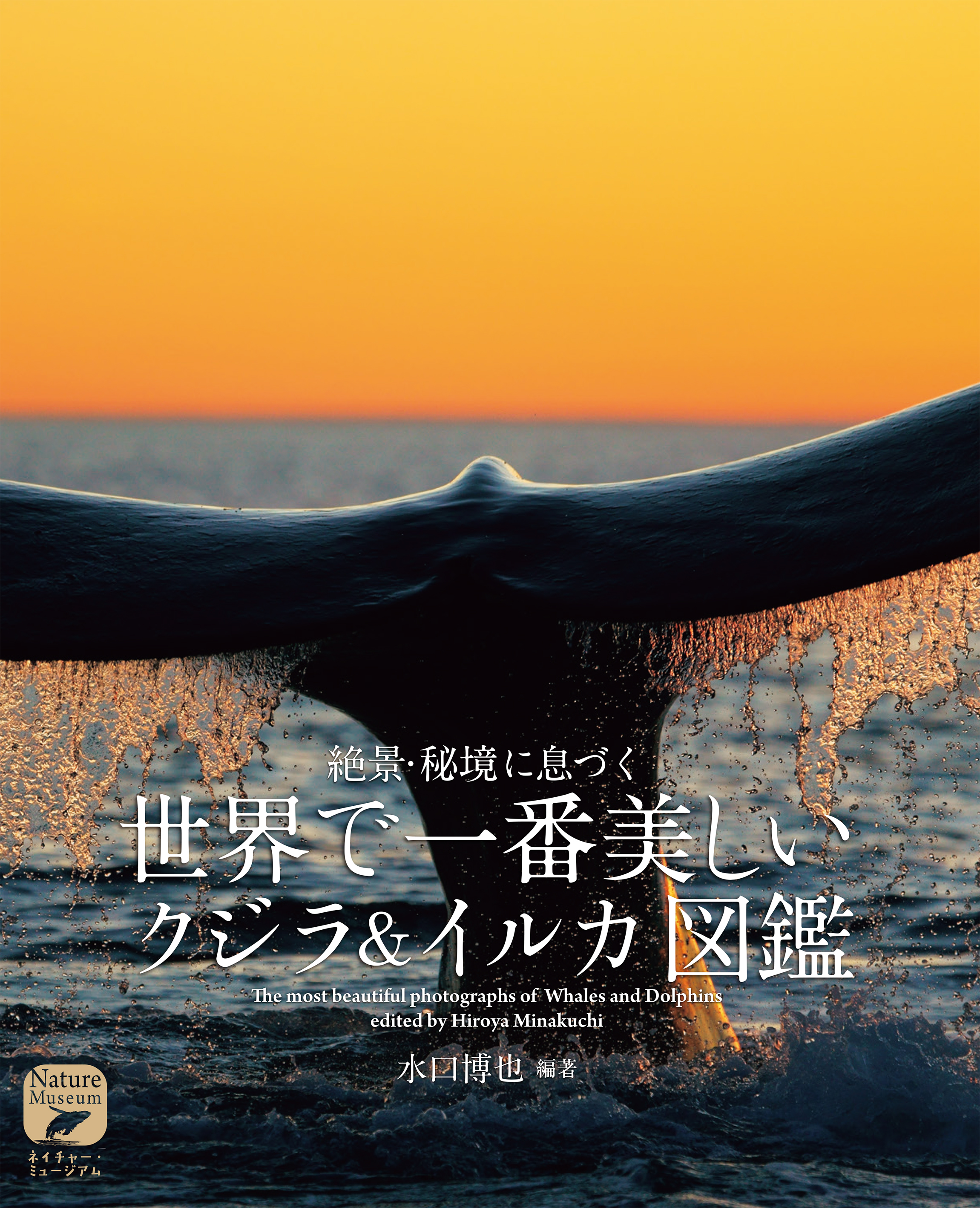 クジラ イルカの野生の美しさに圧倒 ダイナミックな写真が満載の 大図鑑 発売 株式会社誠文堂新光社のプレスリリース
