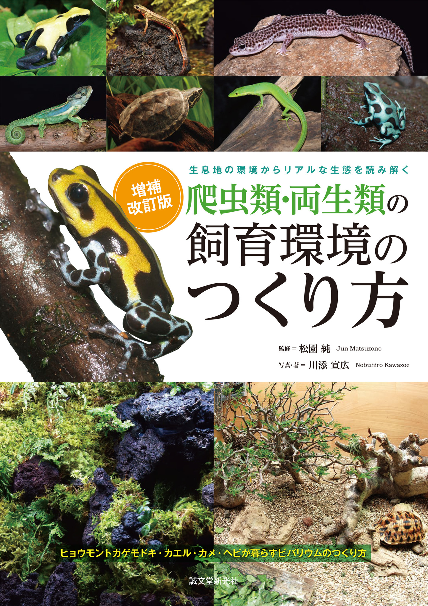 あらゆる爬虫類 両生類 のための飼育環境作り 生息地の環境を再現する飼育スタイルの作り方を徹底解説 株式会社誠文堂新光社のプレスリリース あらゆる爬虫類 両生類 のための飼育環境作り 生息地の環境を再現する飼育スタイルの作り方を徹底解説 株式会社誠文堂新光社のプレスリリース