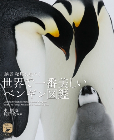 スタイリッシュかつ 可愛い ペンギンたちの生態が 世界の美しい絶景と共に収められた写真0点以上を掲載 株式会社誠文堂新光社のプレスリリース