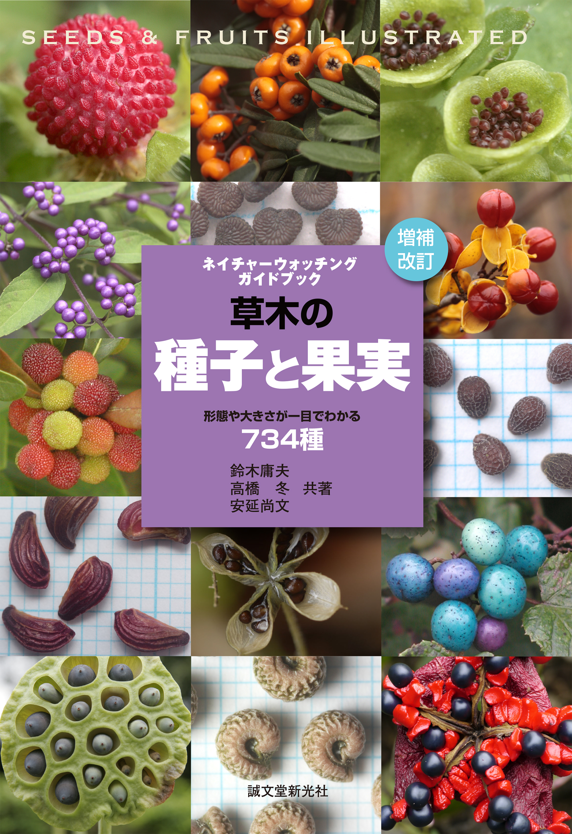 山野で見つけた「植物」の形態や大きさが一目でわかる！フィールド図鑑