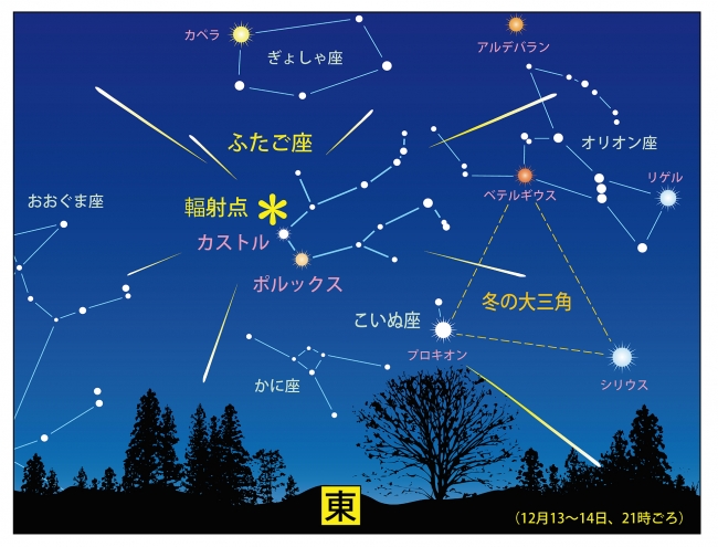ふたご座流星群の見え方（12月14日21時ころの空　図：藤井 旭）