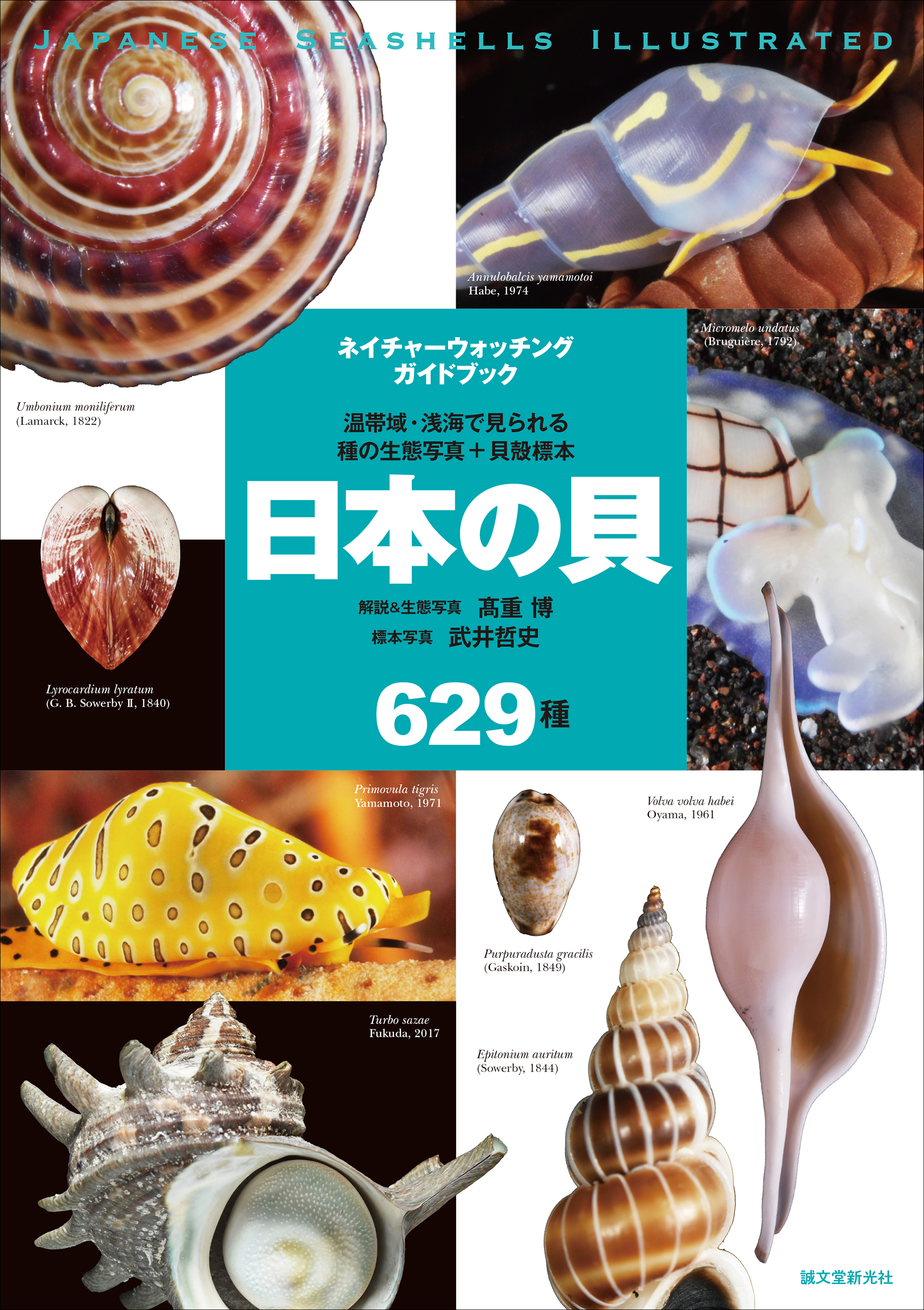 日本の貝の生態写真と標本写真を629種 全て掲載した画期的な図鑑 普段見られない目 触覚等の写真は種類同定にも役立ちます 株式会社誠文堂新光社の プレスリリース