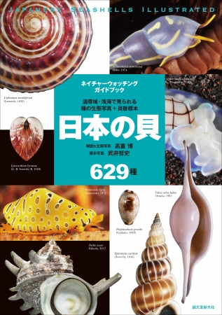日本の貝の生態写真と標本写真を629種、全て掲載した画期的な図鑑