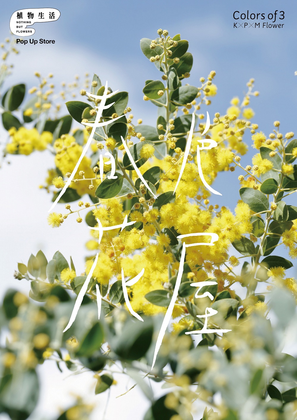 植物生活ポップアップストアと お花屋さん イラストレーターがコラボ 春色花屋 が 期間限定オープン 1 17 1 30 吉祥寺parco 株式会社誠文堂新光社のプレスリリース