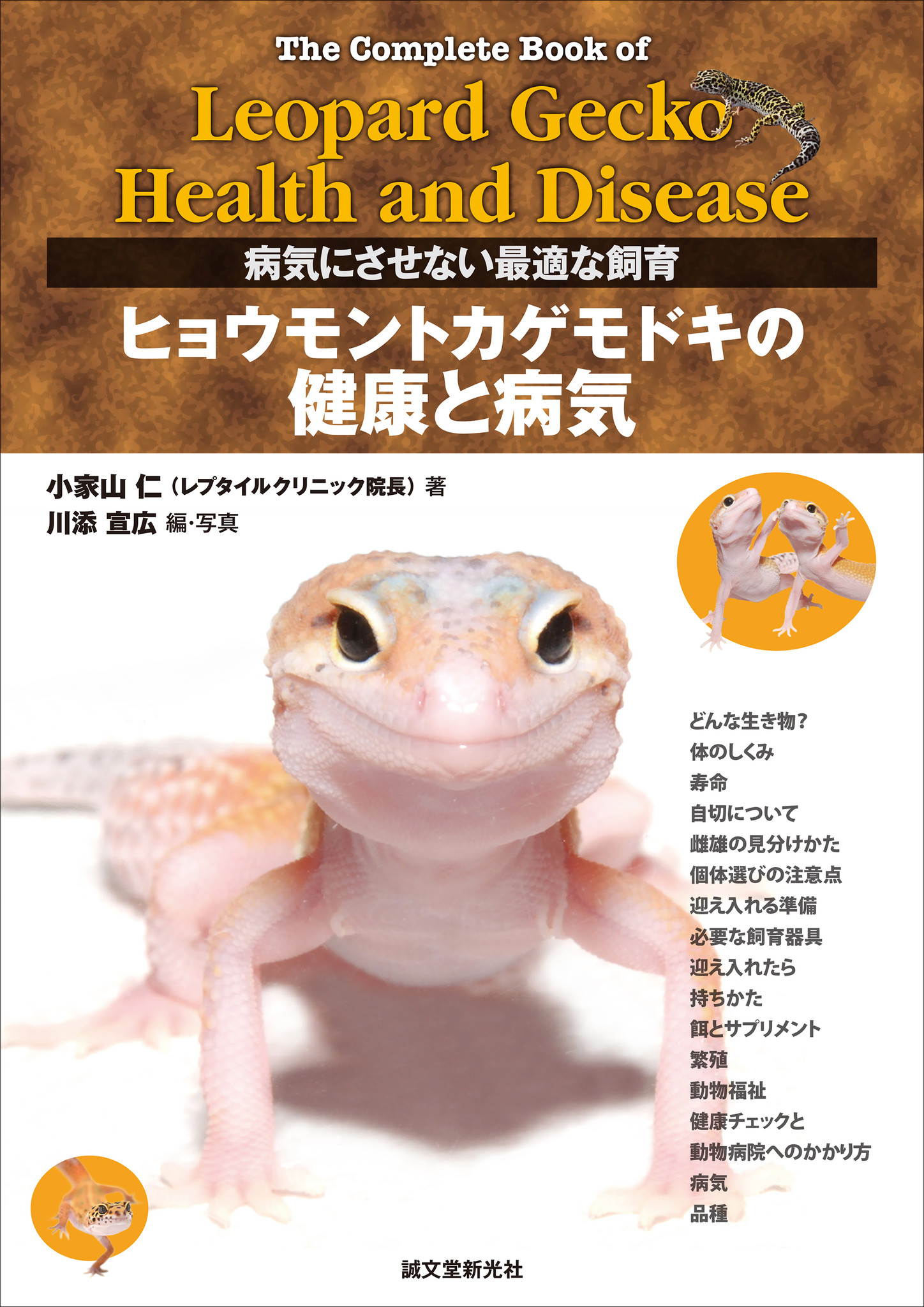 人気の爬虫類 ヒョウモントカゲモドキ を病気にさせない 適切な飼育法と病気の予防 対応を完全解説 株式会社誠文堂新光社のプレスリリース