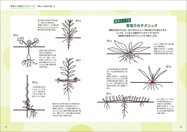 雑草 にお困りの方必見 草取りが楽しくなる イヤな仕事とされる 草取り を 楽しく するスゴワザを 場所に応じてご紹介 株式会社誠文堂新光社のプレスリリース