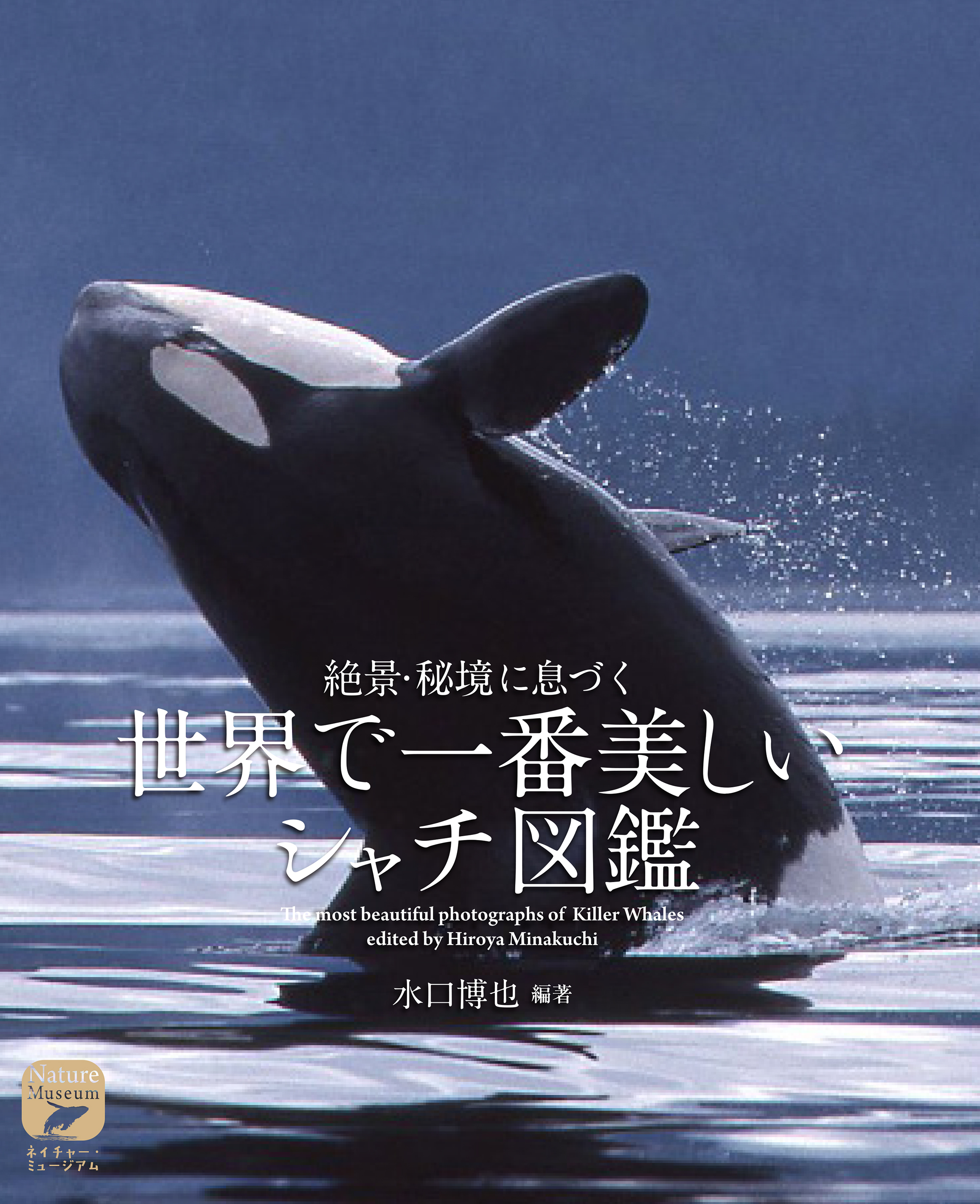 シャチ Killer Whale Japaneseclass Jp
