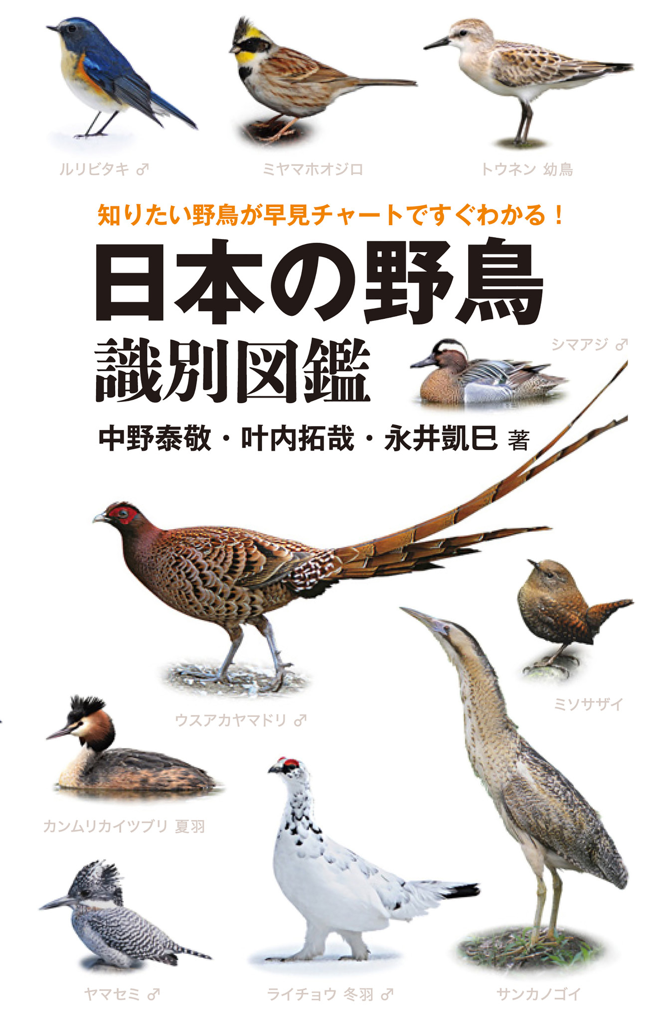 知りたい野鳥が早見チャートですぐわかる 野鳥観察に役立つ一冊 株式会社誠文堂新光社のプレスリリース