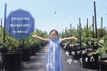 【柏市】＼8月16日まで／手賀沼ブルーベリーサマー2026開催中