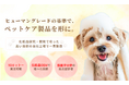ペットにも“ヒト基準”のスキンケアを。創業33年の化粧品OEM『ベル・クール研究所』が、最小ロット10個から製造可能なペットケア製品OEMを開始