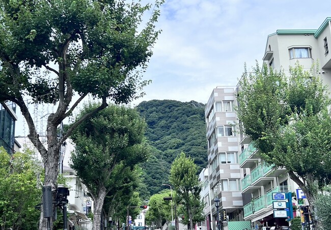 六甲山の豊かな自然からも程近い北野エリア