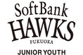 【福岡ソフトバンクホークス】ジュニアユースチーム設立について