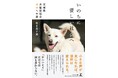 CAPIN理事長・鶴田真子美、書籍『いのちに優しい社会へ 茨城県犬猫殺処分ゼロへの道』を幻冬舎より刊行