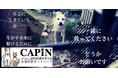 CAPIN、寄付アプリ「GOJO」動物愛護週間キャンペーンに選出