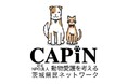 認定NPO法人CAPIN、寄付ページを刷新