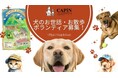 茨城県のNPO法人CAPIN、犬のお散歩ボランティア新規募集