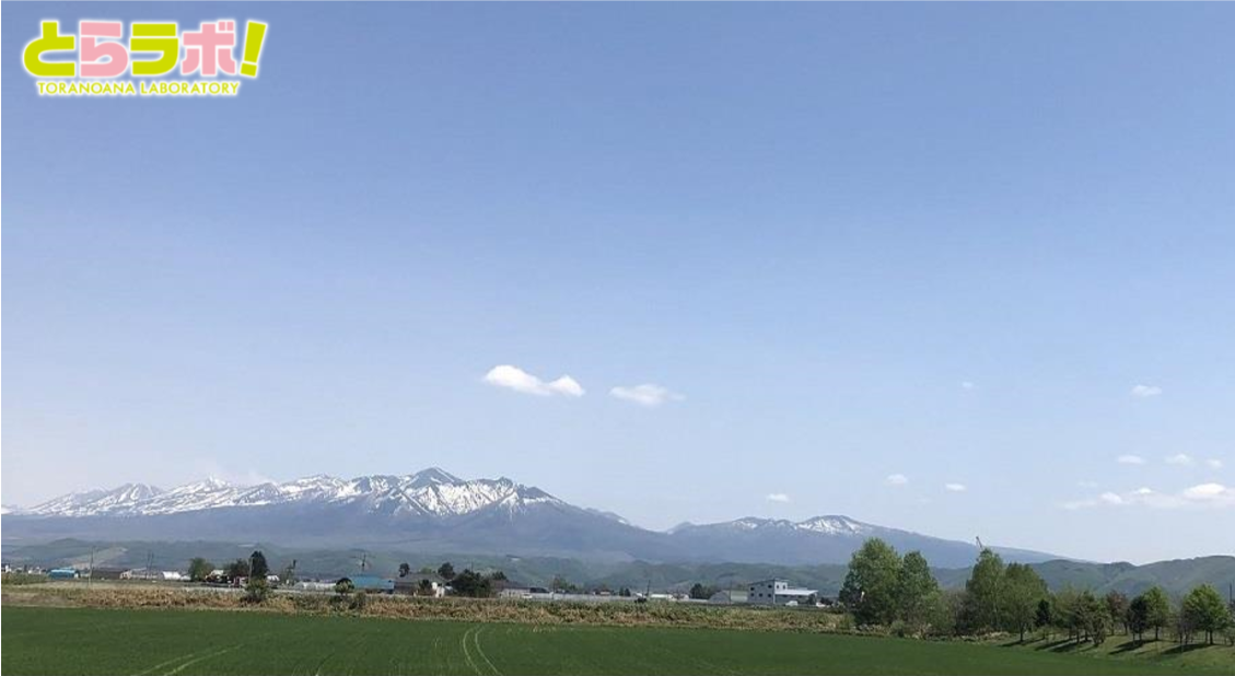 D12206 209 760575 0