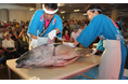 「マグロの解体ショー」がふるさと納税に! 捌いた本マグロはその場で刺身やお寿司に、配送もOK! 鳥取県境港市