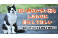 飼い主がいない猫もしあわせに暮らしてほしい! 鹿児島県・霧島市でクラウドファンディング型ふるさと納税開始