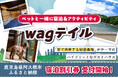 ペットと一緒に宿泊&アクティビティを楽しむ!wagテイルの宿泊割引券がふるさと納税に登場!鹿児島県阿久根市