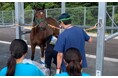 未来の獣医師を育む！ 牛や馬と触れ合う特別プログラムが鹿児島県曽於市のふるさと納税に新登場 、南九州畜産獣医学拠点（SKLV）で実施