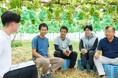 存続危機を乗り越え、1房10万円のトップ評価に！ 宇佐市・安心院（あじむ）シャインマスカットの物語を公開