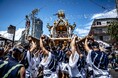 3年に1度の“本祭”を迎える「住吉神社例祭（通称・佃祭）」400年の歴史と熱気を次世代へ――伝統を紡ぐ人々の夏を追う『日本の祭り「大幟に宿る江戸湊の心意気 〜佃島・佃祭〜」』