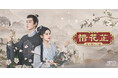 中国ドラマ『惜花芷～星が照らす道～』 地上波初放送2026年10月20日（火）より放送開始＆TVer配信 「月に咲く花の如く」「明蘭」に続く、ロマンス時代劇の新たなる傑作が誕生！