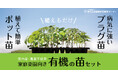 【予約受付中!!】家庭菜園向き「有機の苗アソート」 24本ポット苗・50本プラグ苗 (公益財団法人 自然農法センター)