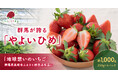 mino-lioの「地球想いのいちご農園」のいちごが群馬県高崎市ふるさと納税返礼品として提供開始