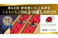 mino-lioの「よつぼし」が銅賞を受賞