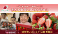 子ども食堂に一年で最も美味しい季節のいちごを届けるために