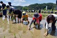 東京・八王子の日本酒醸造所「東京八王子酒造」、「学校法人矢野学園八王子実践」100周年を記念して、「生徒参加型食育プログラム」と「オーダーメイドの酒造り」を提供。
