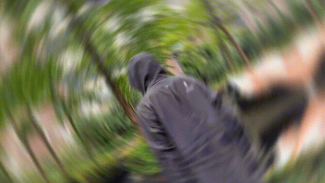 雨クール
