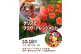 ダリアでフラワーアレンジメント<兵庫県川西市>