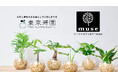 グリーンインテリアブランド「東京寿園」、話題のシーシャカフェ&バー「muse心斎橋」とコラボ