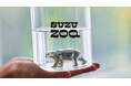 【福岡発】リサイクル錫100％でつくる絶滅危惧動物のオブジェ「SUZU ZOO」、二子玉川 蔦屋家電などで本格展開