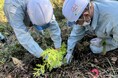 日本管財環境サービスが森林保全の交流会で植樹を体験協定更新でさらなる連携へ