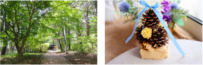 画像左：「KOMOROBIの森」イメージ／画像右：木工クラフト制作例