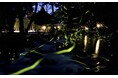 「京都の四季を味わう神山湧水珈琲会」-初夏の蛍と夜カフェ- を開催境内のお休み処ではマイボトル持参でデカボスコア分の割引を実施