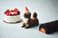 ホテルインディゴ東京渋谷初となる遊び心溢れるクリスマスケーキ 本日10月23日(水)より予約受付開始