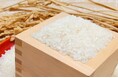 「新米」をふるさと納税で!佐賀県の米どころ「江北町」で予約受付開始!