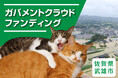 佐賀県武雄市ふるさと納税で「地域猫活動」と「治水対策」助成のため、ガバメントクラウドファンディングを開始いたしました。