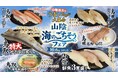 高級魚"のどぐろ"を炙りで385円以下。「回し寿司 活／寿司活」が島根・鳥取の海の幸を集めた『山陰 海のごちそうフェア』を10月6日スタート