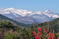 「祈り」が山を育てる、日本初・里山型樹木葬の新たな仕組み