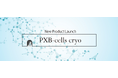 高機能維持した凍結化に成功!世界へ発進・凍結ヒト肝細胞「PXB-cells Cryo」販売開始