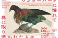 カメラのない時代に、本物を写しとった執念の博物画　19世紀の人々が憧れて描いた「鳥」にまつわる荒俣宏コレクションを一挙公開　「ワンダーバードに憧れて　鳥に取り憑かれた人々」開催決定