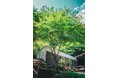 山梨県南部町と株式会社エリアノとの連携協定の締結を支援しました
