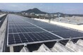 ティーガイア、営業拠点および国内グループ会社において2024年度使用電力の実質再エネ化を達成