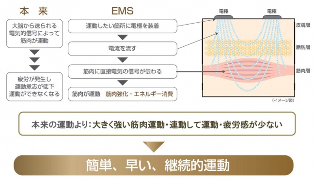 パルスクイーズ